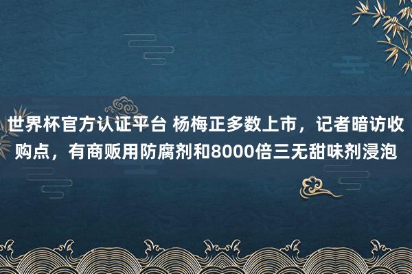 世界杯官方认证平台 杨梅正多数上市，记者暗访收购点，有商贩用防腐剂和8000倍三无甜味剂浸泡