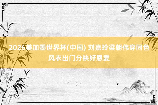 2026美加墨世界杯(中国) 刘嘉玲梁朝伟穿同色风衣出门分袂好恩爱