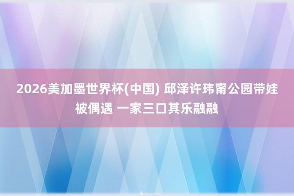 2026美加墨世界杯(中国) 邱泽许玮甯公园带娃被偶遇 一家三口其乐融融