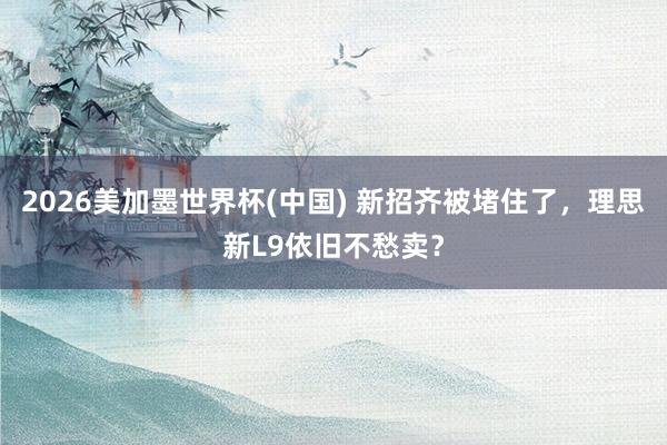 2026美加墨世界杯(中国) 新招齐被堵住了，理思新L9依旧不愁卖？