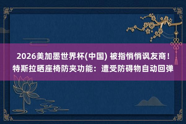 2026美加墨世界杯(中国) 被指悄悄讽友商！特斯拉晒座椅防夹功能：遭受防碍物自动回弹