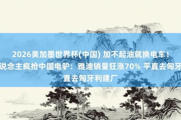2026美加墨世界杯(中国) 加不起油就换电车！欧洲东说念主疯抢中国电驴：雅迪销量狂涨70% 平直去匈牙利建厂