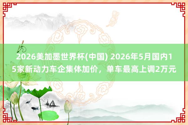 2026美加墨世界杯(中国) 2026年5月国内15家新动力车企集体加价，单车最高上调2万元