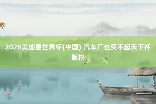 2026美加墨世界杯(中国) 汽车厂也买不起天下杯版权