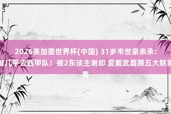 2026美加墨世界杯(中国) 31岁韦世豪亲承：曾几乎去西甲队！被2东谈主谢却 爱戴武磊踢五大联赛