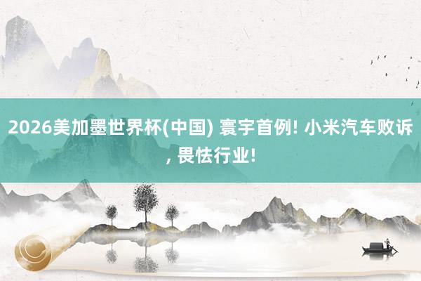 2026美加墨世界杯(中国) 寰宇首例! 小米汽车败诉， 畏怯行业!