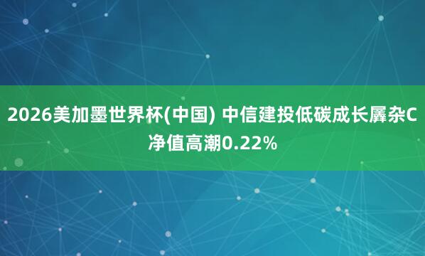 2026美加墨世界杯(中国) 中信建投低碳成长羼杂C净值高潮0.22%