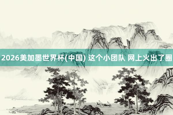 2026美加墨世界杯(中国) 这个小团队 网上火出了圈