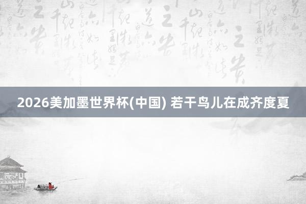2026美加墨世界杯(中国) 若干鸟儿在成齐度夏