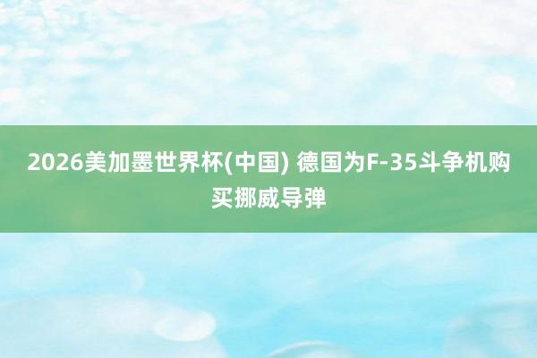 2026美加墨世界杯(中国) 德国为F-35斗争机购买挪威导弹