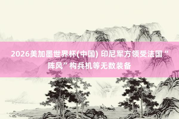 2026美加墨世界杯(中国) 印尼军方领受法国“阵风”构兵机等无数装备