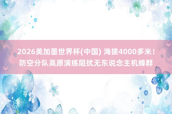 2026美加墨世界杯(中国) 海拔4000多米！防空分队高原演练阻扰无东说念主机蜂群