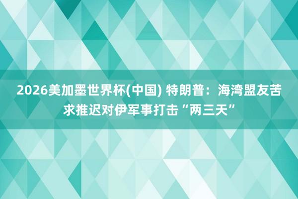 2026美加墨世界杯(中国) 特朗普：海湾盟友苦求推迟对伊军事打击“两三天”