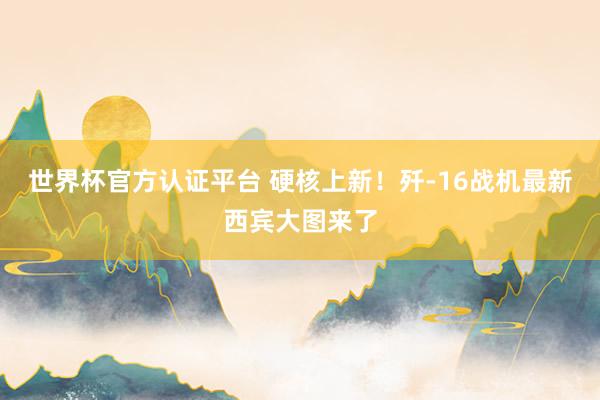 世界杯官方认证平台 硬核上新！歼-16战机最新西宾大图来了
