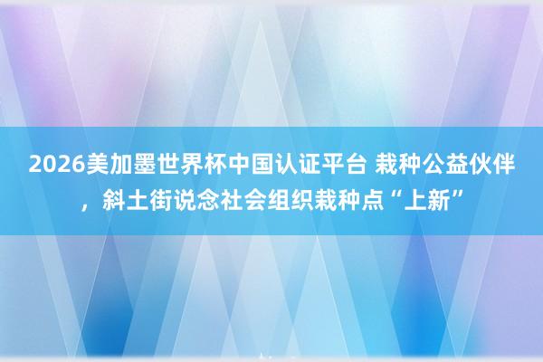 2026美加墨世界杯中国认证平台 栽种公益伙伴，斜土街说念社会组织栽种点“上新”