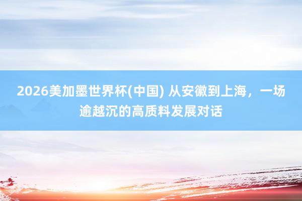 2026美加墨世界杯(中国) 从安徽到上海，一场逾越沉的高质料发展对话