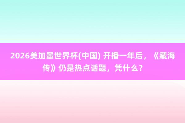 2026美加墨世界杯(中国) 开播一年后，《藏海传》仍是热点话题，凭什么？