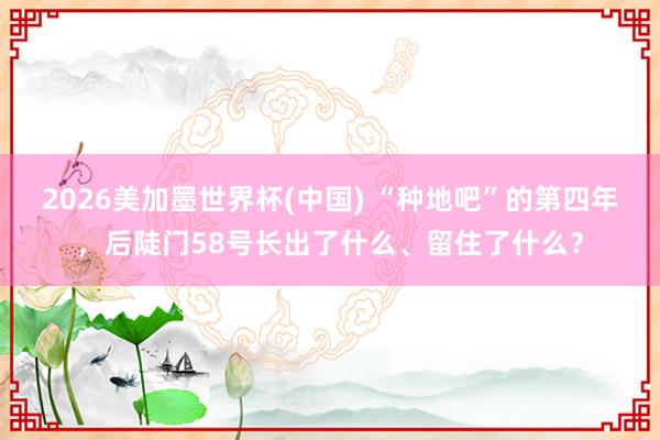 2026美加墨世界杯(中国) “种地吧”的第四年，后陡门58号长出了什么、留住了什么？
