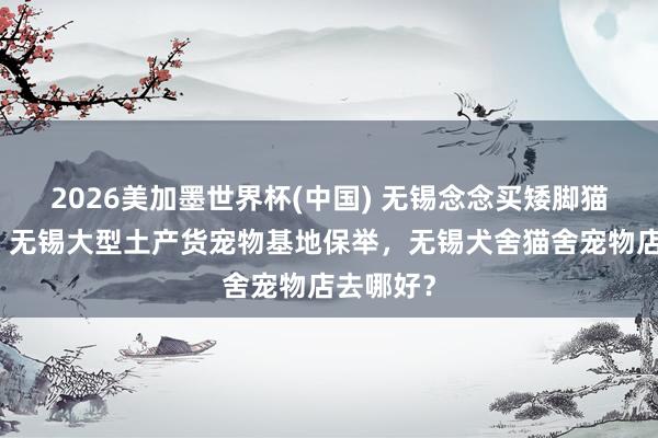 2026美加墨世界杯(中国) 无锡念念买矮脚猫去哪找？无锡大型土产货宠物基地保举，无锡犬舍猫舍宠物店去哪好？