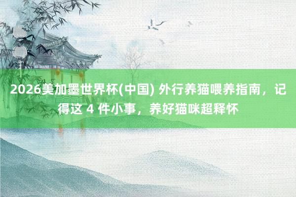 2026美加墨世界杯(中国) 外行养猫喂养指南，记得这 4 件小事，养好猫咪超释怀