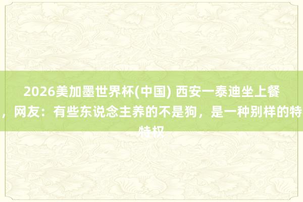 2026美加墨世界杯(中国) 西安一泰迪坐上餐桌，网友：有些东说念主养的不是狗，是一种别样的特权
