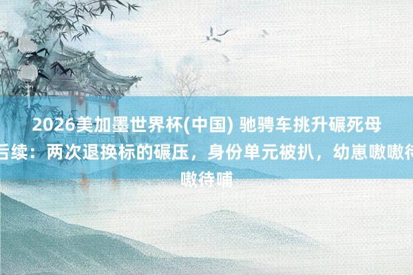 2026美加墨世界杯(中国) 驰骋车挑升碾死母猫后续：两次退换标的碾压，身份单元被扒，幼崽嗷嗷待哺