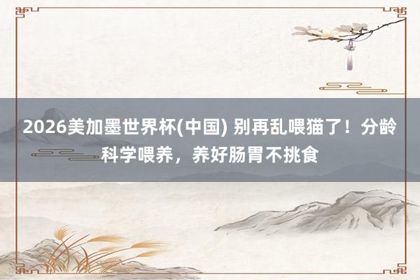 2026美加墨世界杯(中国) 别再乱喂猫了！分龄科学喂养，养好肠胃不挑食