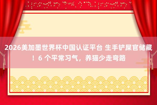 2026美加墨世界杯中国认证平台 生手铲屎官储藏！6 个平常习气，养猫少走弯路
