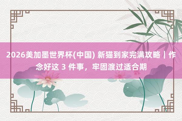 2026美加墨世界杯(中国) 新猫到家完满攻略｜作念好这 3 件事，牢固渡过适合期