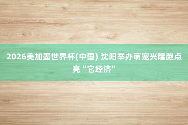 2026美加墨世界杯(中国) 沈阳举办萌宠兴隆跑点亮“它经济”