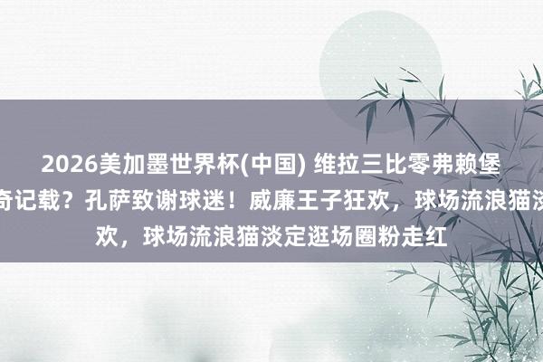 2026美加墨世界杯(中国) 维拉三比零弗赖堡，大马丁创下神奇记载？孔萨致谢球迷！威廉王子狂欢，球场流浪猫淡定逛场圈粉走红