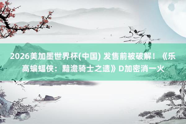 2026美加墨世界杯(中国) 发售前被破解！《乐高蝙蝠侠：黯澹骑士之遗》D加密消一火