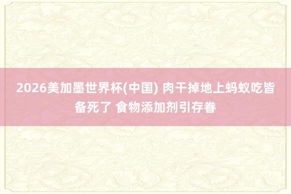 2026美加墨世界杯(中国) 肉干掉地上蚂蚁吃皆备死了 食物添加剂引存眷