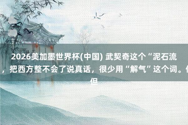 2026美加墨世界杯(中国) 武契奇这个“泥石流”，把西方整不会了说真话，很少用“解气”这个词。但