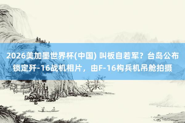 2026美加墨世界杯(中国) 叫板自若军？台岛公布锁定歼-16战机相片，由F-16构兵机吊舱拍摄