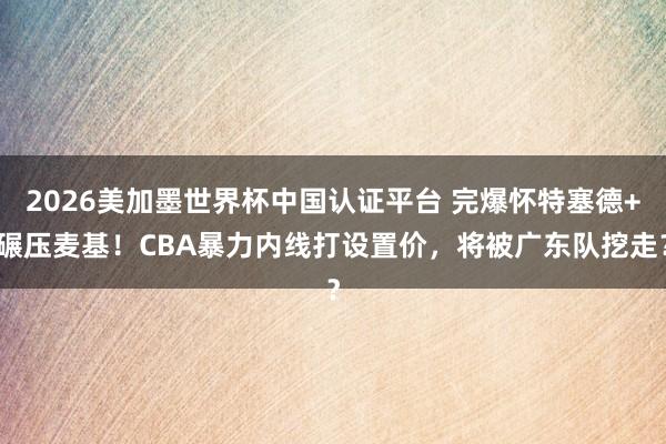 2026美加墨世界杯中国认证平台 完爆怀特塞德+碾压麦基！CBA暴力内线打设置价，将被广东队挖走？