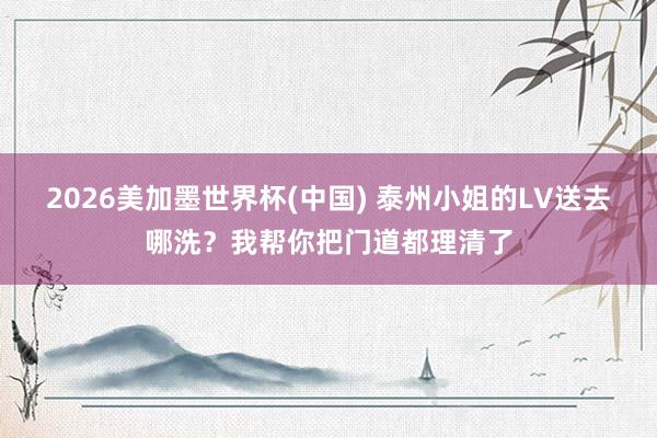 2026美加墨世界杯(中国) 泰州小姐的LV送去哪洗？我帮你把门道都理清了