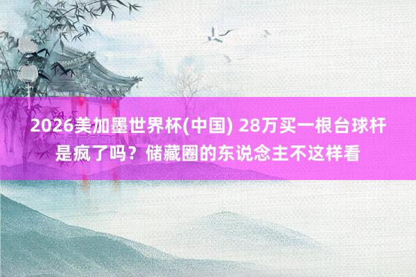 2026美加墨世界杯(中国) 28万买一根台球杆是疯了吗？储藏圈的东说念主不这样看