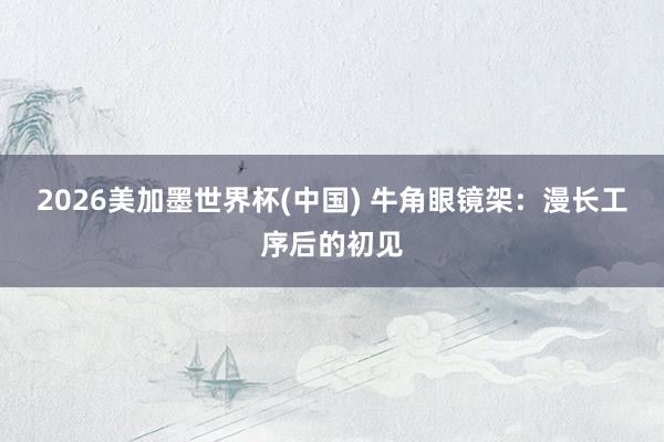 2026美加墨世界杯(中国) 牛角眼镜架：漫长工序后的初见