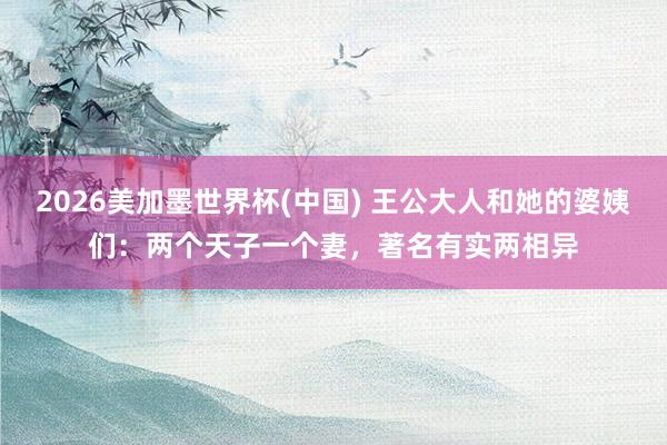 2026美加墨世界杯(中国) 王公大人和她的婆姨们：两个天子一个妻，著名有实两相异