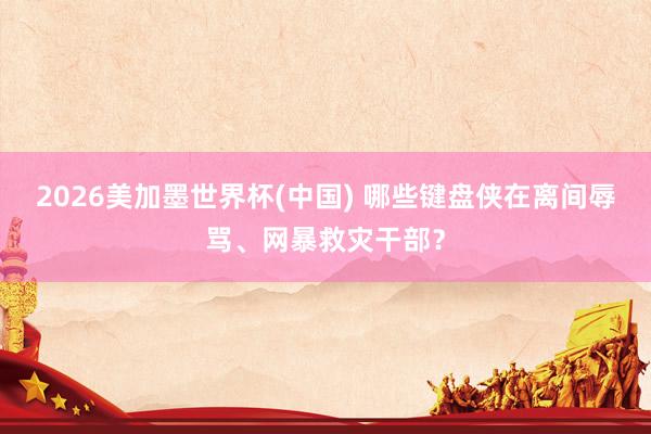 2026美加墨世界杯(中国) 哪些键盘侠在离间辱骂、网暴救灾干部？