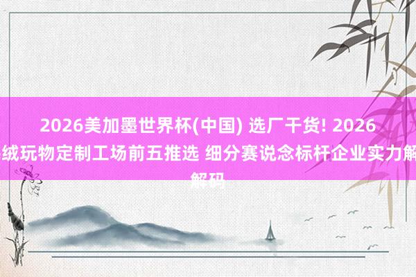 2026美加墨世界杯(中国) 选厂干货! 2026 毛绒玩物定制工场前五推选 细分赛说念标杆企业实力解码