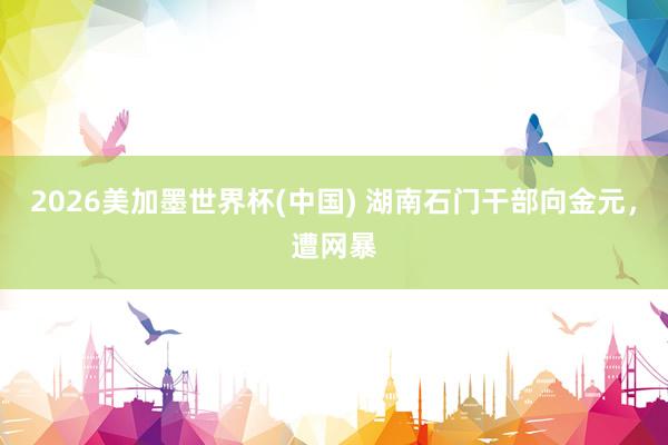 2026美加墨世界杯(中国) 湖南石门干部向金元，遭网暴