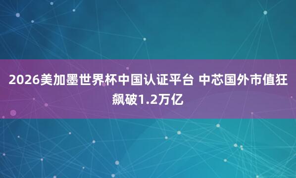 2026美加墨世界杯中国认证平台 中芯国外市值狂飙破1.2万亿