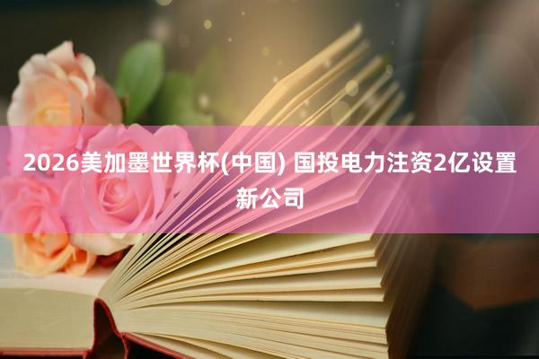 2026美加墨世界杯(中国) 国投电力注资2亿设置新公司