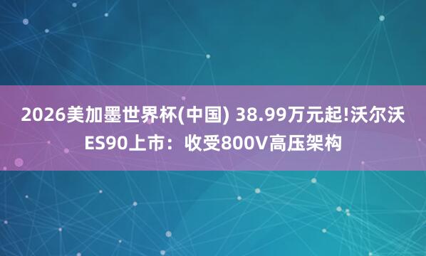 2026美加墨世界杯(中国) 38.99万元起!沃尔沃ES90上市：收受800V高压架构