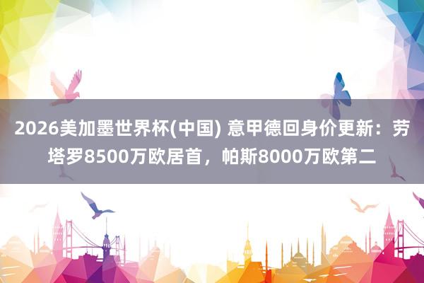 2026美加墨世界杯(中国) 意甲德回身价更新：劳塔罗8500万欧居首，帕斯8000万欧第二