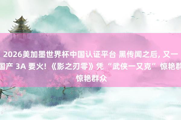 2026美加墨世界杯中国认证平台 黑传闻之后, 又一款国产 3A 要火! 《影之刃零》凭