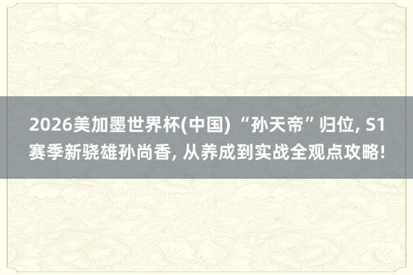 2026美加墨世界杯(中国) “孙天帝”归位， S1赛季新骁雄孙尚香， 从养成到实战全观点攻略!