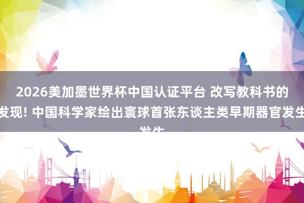 2026美加墨世界杯中国认证平台 改写教科书的发现! 中国科学家绘出寰球首张东谈主类早期